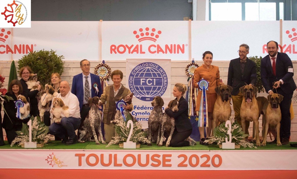 Du Domaine Des Joyaux Tibétains - Expo de Toulouse février 2020