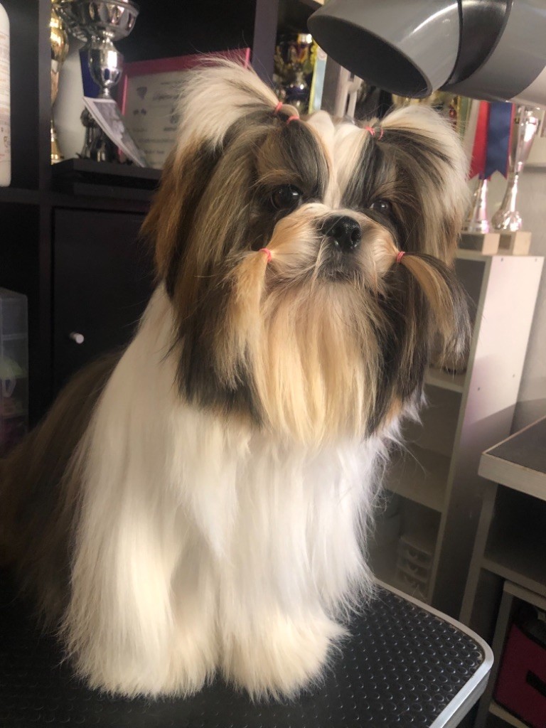 Tzu ling lou Du Domaine Des Joyaux Tibétains