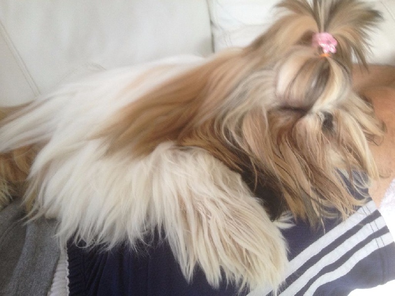 PHOTOS DE NOS LOULOUS BEBES